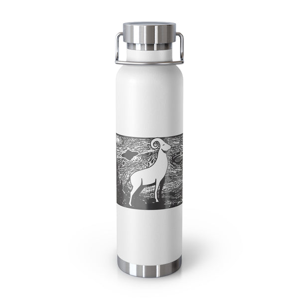 Aries Insulated Bottle, 22oz