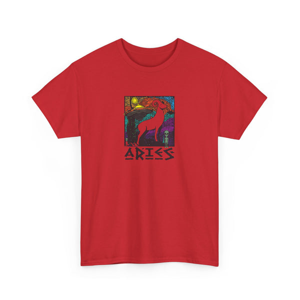 Aries Heavy Cotton Tee